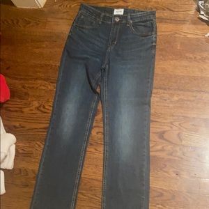 Hudson jeans size 14